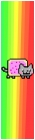 NYAN CAT