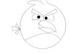 bad angry bird